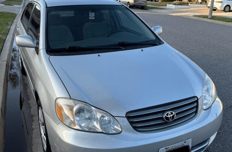 Rm Auto Detailing